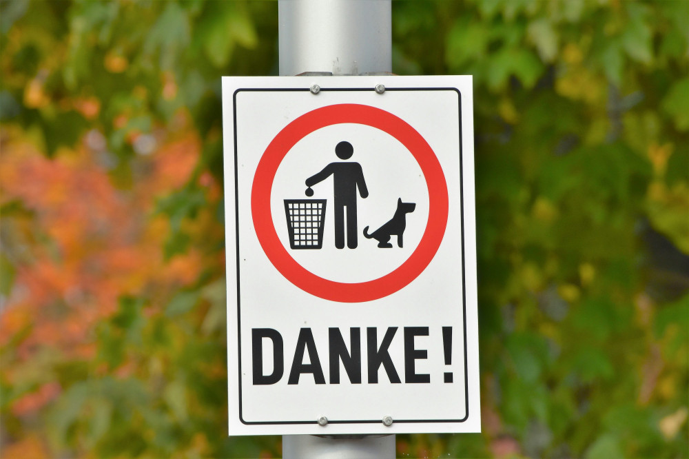 Enestående opdagelser: Hvad du ikke vidste om dansk kultur